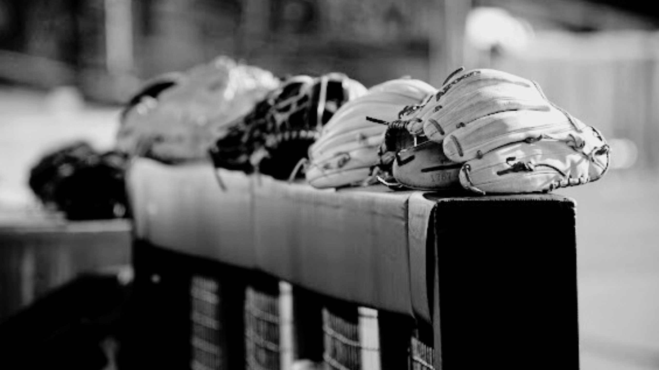 Prime 2717 Sharp Logo (3)